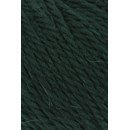 Lang Yarns Carpe Diem 714.0118 donker groen