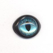 Ogen 12-18 mm blauw ovaal met zwarte rand 1 paar 