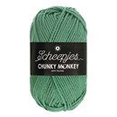 Scheepjes Chunky Monkey 1725 eucalyptus