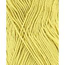 Phildar Phil Tropical Absinthe (op=op 50-2)