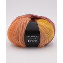 Phildar Phil Nuage Savane (op=op uit collectie)