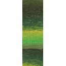 Lang Yarns Merino 120 Degrade 37.0002 groen