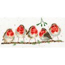 Borduurpakket dieren - Hannah Dale Rockin Robins