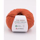 Phildar Phil Green Caramel (op=op uit collectie)