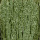 Adriafil Rafia 66 groen kak (25 gram)i (op=op uit collectie)