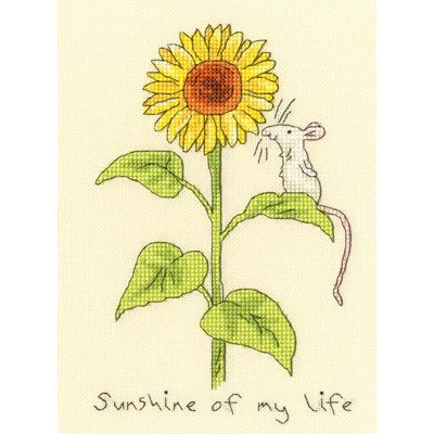 Borduurpakket Anita Jeram - Sunshine of my life