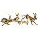 Borduurpakket dieren - Hannah Dale Spring in your step