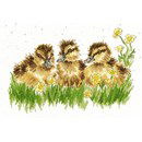 Borduurpakket dieren - Hannah Dale Buttercup