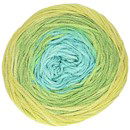 Schachenmayr Shades of Summer 00083 oasis Color (op=op)