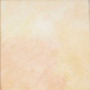 Aida 5,5 geprint 3855 zalm geel (38 a 45,7 cm)