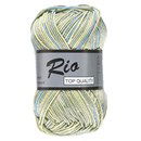 Lammy Yarns Rio multi 626 groen blauw