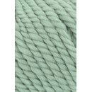 Lang Yarns Wooladdicts Fire 1000.0092 donker mint