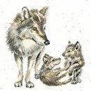 Borduurpakket dieren - Hannah Dale Wolf Pack
