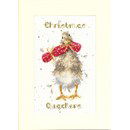 Borduurpakket kerst - Hannah Dale Chrismas Quackers