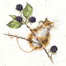 Borduurpakket dieren - Hannah Dale Brambles