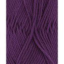 Phildar Phil Coton 4 Raisin