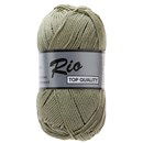 Lammy Yarns Rio 374 licht oud mos groen