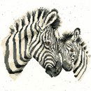 Borduurpakket dieren - Hannah Dale Racing Stripes