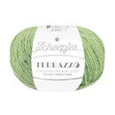 Scheepjes Terrazzo 758 Asparago