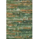 Lang Yarns Bold Color 1098.0001 geel groen bruin (op=op uit collectie)