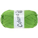 Lana Grossa Cotone 118 lente groen