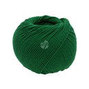 Lana Grossa Elastico 174 flessen groen