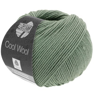 Lana Grossa Cool wool 2079 oud mint groen opruiming 