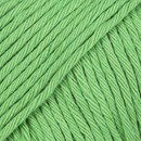 DROPS Paris 72 papagaai groen