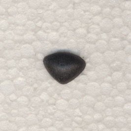 Neus 15 mm zwart soft 2 stuks 
