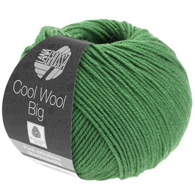 Lana Grossa Cool wool big 997 blad groen