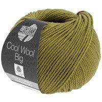 Lana Grossa Cool wool big 1006 fris groen