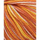 Phildar Phil Exotique Savane (op=op uit collectie)