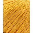 Phildar Phil Eucalyptus Safran (op=op uit collectie)