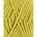 Phildar Phil Rapido Absinthe