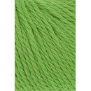 Lang Yarns Carpe Diem 714.0116 Light Green