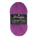 Scheepjes Scrumptious - 376 Açaí Bowl