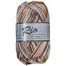Lammy Yarns Rio multi 639