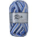Lammy Yarns Rio multi 640