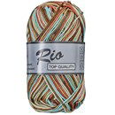 Lammy Yarns Rio multi 638