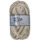 Lammy Yarns Rio multi 637