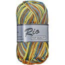 Lammy Yarns Rio multi 635