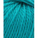 Phildar Phil Ecolaine Veronese (op=op uit collectie)