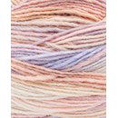 Phildar Phil Colorful