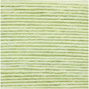 Rico Ricorumi dk 045 pastelgroen