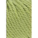 Lang Yarns Wooladdicts Fire 1000.0117 Kale