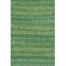 Lang Yarns Wooladdicts Glamour 1151.0117 Kale