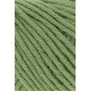 Lang Yarns Cashmere plus 1154.0017 Green