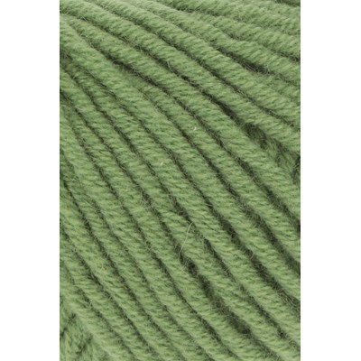 Lang Yarns Cashmere plus 1154.0017 Green