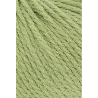 Lang Yarns Carpe Diem 714.0216 Matcha