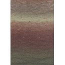 Lang Yarns Wooladdicts Move 6ply 1146.0006 Brown/Camel/Chestnut